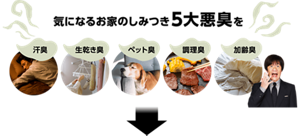 気になるお家のしみつき5大悪臭（汗・皮脂臭 調理臭 加齢臭 生乾き臭 ペット臭）を→