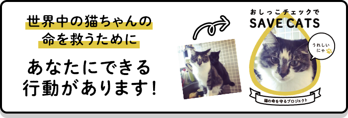 花王株式会社 おしっこチェックでsavecats 飼い主さんの声