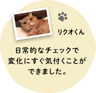 花王株式会社 おしっこチェックでsavecats 飼い主さんの声 花王株式会社 おしっこチェックでsavecats 飼い主さんの声