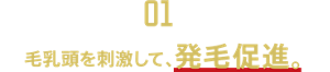 【01】毛乳頭を刺激して、発毛促進。