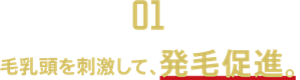 【01】毛乳頭を刺激して、発毛促進。