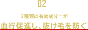 【02】2種類の有効成分※1,2が血行促進し、抜け毛を防ぐ