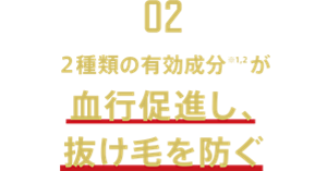 【02】2種類の有効成分※1,2が血行促進し、抜け毛を防ぐ