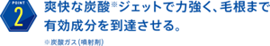 (2)爽快な炭酸※ジェットで力強く、毛根まで有効成分を到達させる。※炭酸ガス（噴射剤）