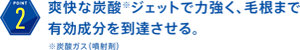 (2)爽快な炭酸※ジェットで力強く、毛根まで有効成分を到達させる。※炭酸ガス（噴射剤）