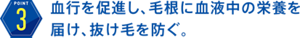 (3)血行を促進し、毛根に血液中の栄養を届け、抜け毛を防ぐ。