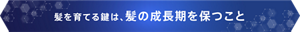 髪を育てる鍵は、髪の成長期を保つこと