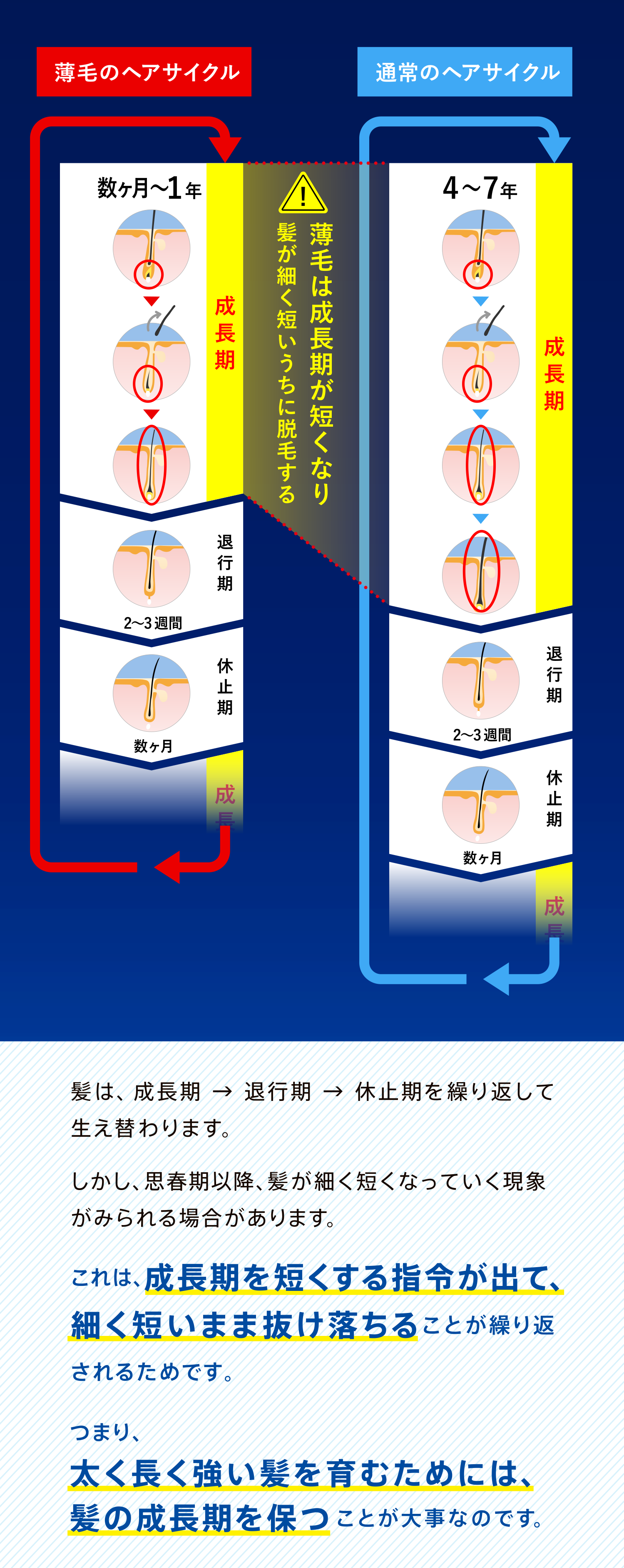 薬用育毛トニック｜サクセス