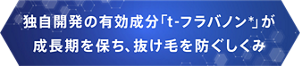 独自開発の有効成分「ｔ-フラバノン＊」が成長期を保ち、抜け毛を防ぐしくみ