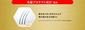 毛髪プロテクト成分（※4）配合。髪の毛１本１本を立ち上げ弾力感のある手触りに　※4 N-プロピオニルポリエチレンイミン・メチルポリシロキサン共重合体（毛髪保護剤）