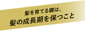 髪を育てる鍵は、髪の成長期を保つこと