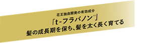 花王独自開発の有効成分「ｔ-フラバノン（※2）」髪の成長期を保ち､髪を太く長く育てる