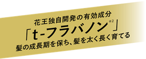 花王独自開発の有効成分「ｔ-フラバノン（※2）」髪の成長期を保ち､髪を太く長く育てる