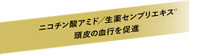 ニコチン酸アミド／生薬センブリエキス（※3）頭皮の血行を促進