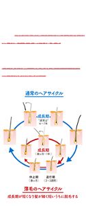 薬用育毛トニック ボリュームケア｜サクセス