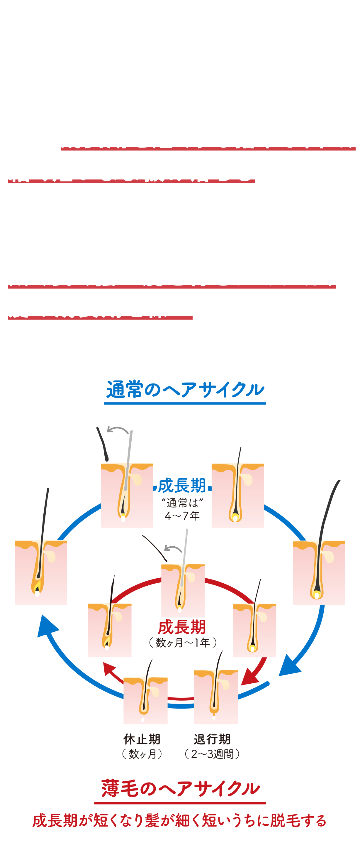 薬用育毛トニック ボリュームケア｜サクセス