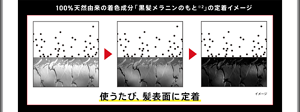 100%天然由来の着色成分「黒髪メラニンのもと※2」の定着イメージ。使うたび、髪表面に定着。　※2 着色成分（ジヒドロキシインドール）