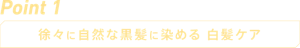 Point1：徐々に自然な黒髪に染める 白髪ケア
