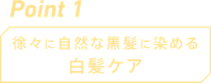Point1：徐々に自然な黒髪に染める 白髪ケア