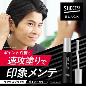 ポイント白髪に速攻塗りで印象メンテ。サクセスブラック ポイントカラー（白髪用着色料）
