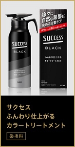 サクセス ふんわり仕上がるカラートリートメント（染毛料）