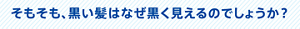 そもそも、黒い髪はなぜ黒く見えるのでしょうか？