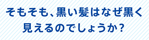 そもそも、黒い髪はなぜ黒く見えるのでしょうか？