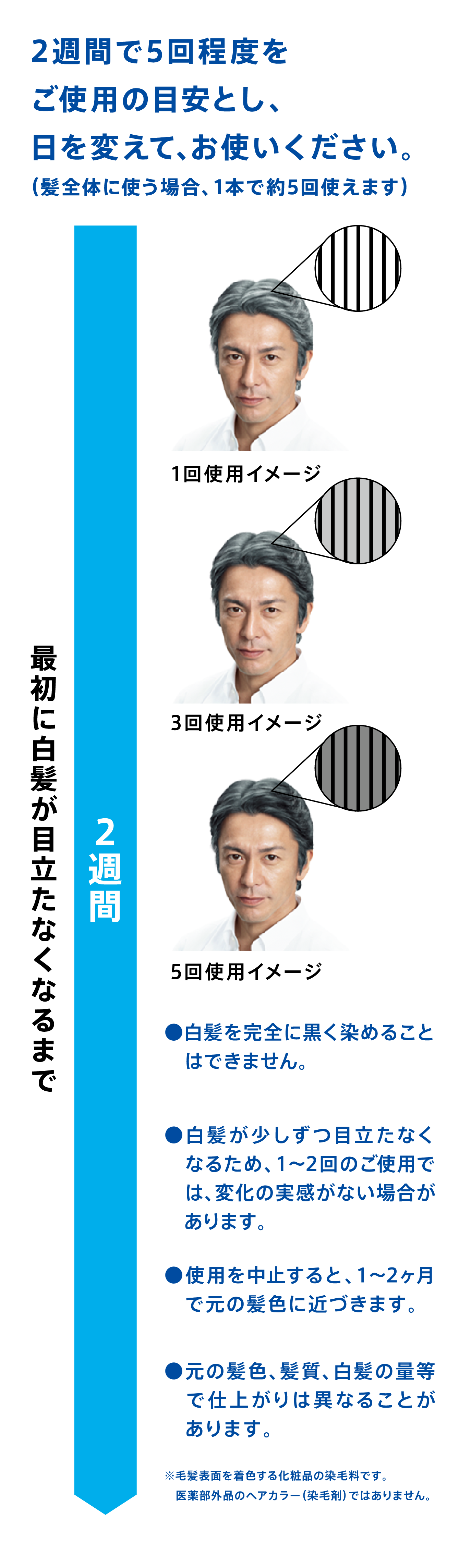 ステップカラー 白髪染め サクセス ステップカラー 白髪染め サクセス