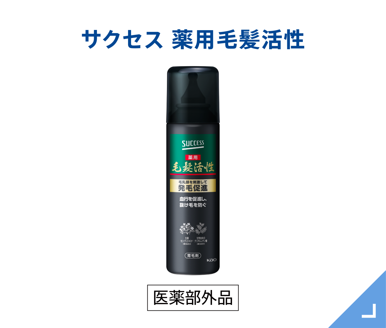商品画像：サクセス ‐前を向くチカラに｜花王 3