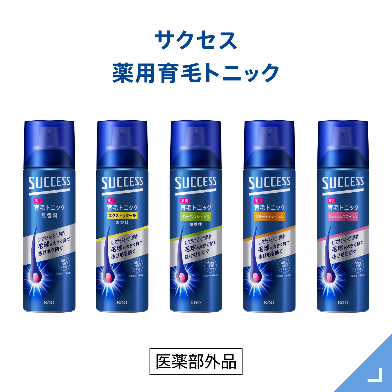 商品画像：サクセス ‐前を向くチカラに｜花王 1
