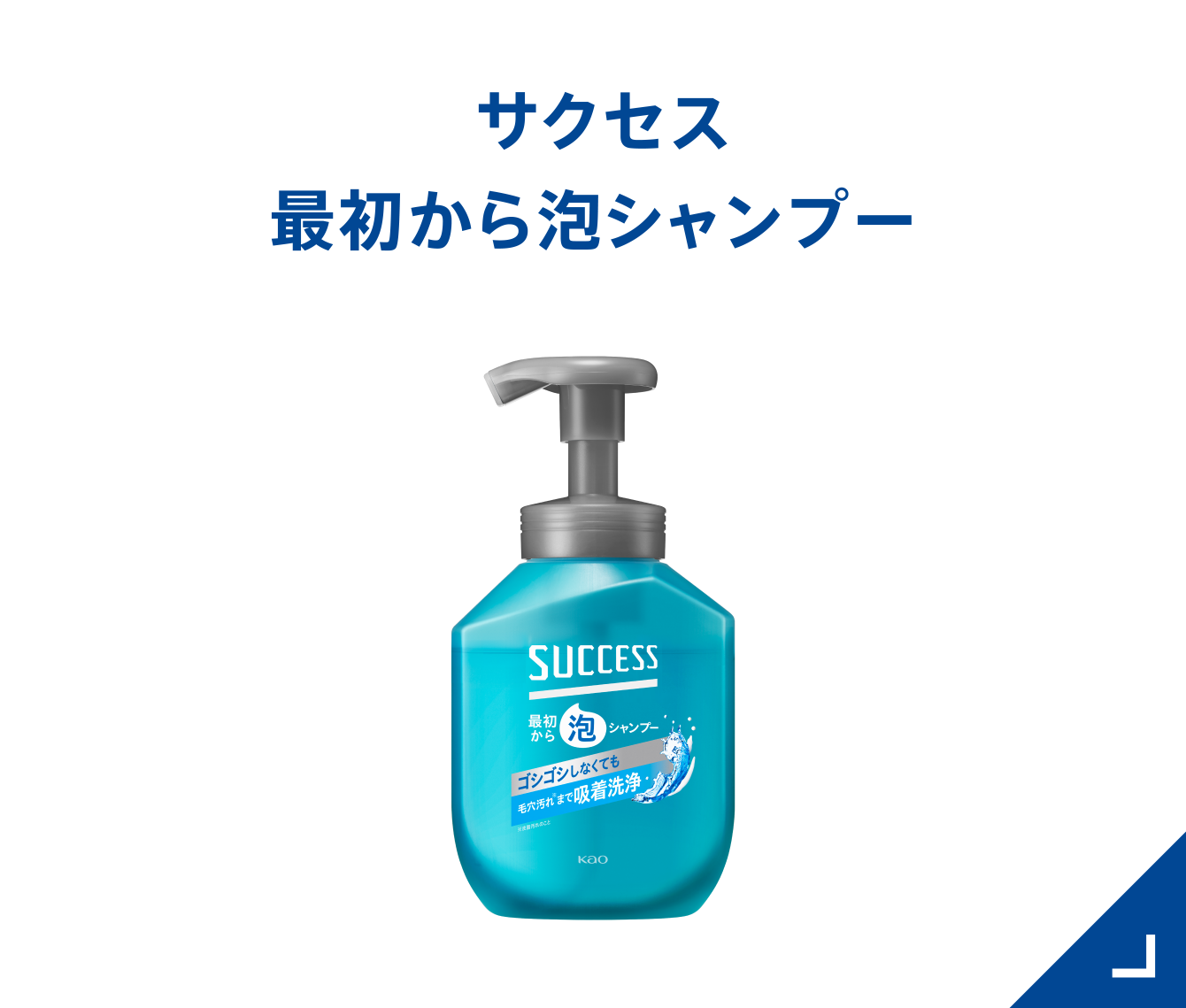 kaoページ 製品ラインナップ|サクセス|花王