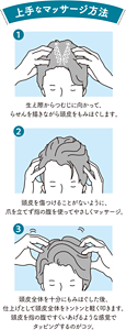 上手なマッサージ方法 （1）生え際からつむじに向かって、らせんを描きながら頭皮をもみほぐします。（2）頭皮を傷つけることがないように、爪を立てず指の腹を使ってやさしくマッサージ。（3）頭皮全体を十分にもみほぐした後、仕上げとして頭皮全体をトントンと軽く叩きます。頭皮を指の腹ですくいあげるような感覚でタッピングするのがコツ。
