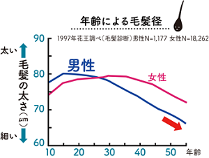 年齢による毛髪径