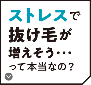 ストレスで抜け毛が増えそう･･･ って本当なの？