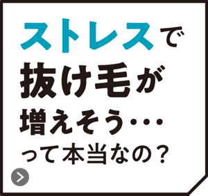 ストレスで抜け毛が増えそう･･･ って本当なの？