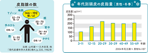 図1. 皮脂腺の数　図2. 年代別頭皮の皮脂量 [ 男性・冬季 ]