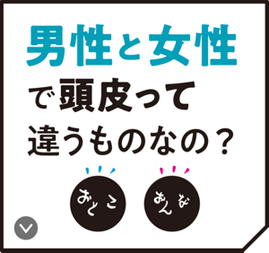 男性と女性で頭皮って違うものなの？