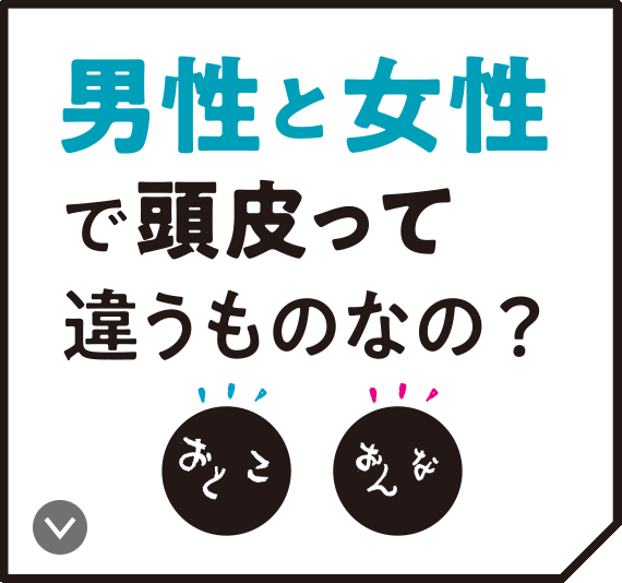 男の頭皮 髪事情 頭皮編 サクセス