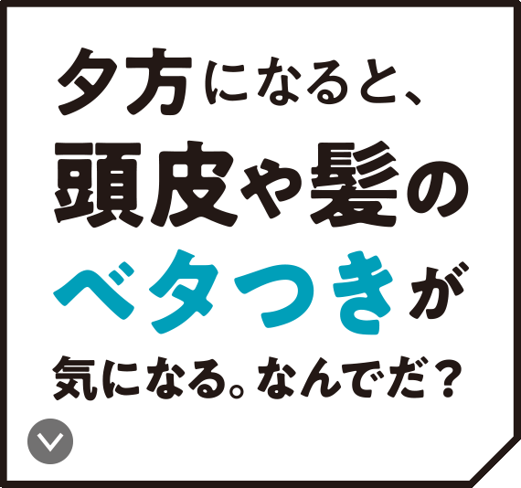 男の頭皮 髪事情 頭皮編 サクセス