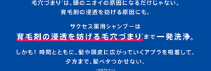 毛穴づまり※は、頭のニオイの原因になるだけじゃない。育毛剤の浸透を妨げる原因にも。新・サクセス薬用シャンプーは育毛剤の浸透を妨げる毛穴づまり※まで一発洗浄。しかも！ 時間とともに、髪や頭皮に広がっていくアブラを吸着して、夕方まで、髪ベタつかせない。※皮脂汚れのこと