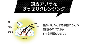 頭皮アブラをすっきりクレンジング　髪がぺたんとする原因のひとつ「頭皮のアブラ」もすっきり落とします。