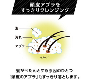頭皮アブラをすっきりクレンジング　髪がぺたんとする原因のひとつ「頭皮のアブラ」もすっきり落とします。