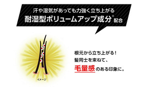 汗や湿気があっても力強く立ち上がる耐湿型ボリュームアップ成分*配合　根元から立ち上がる！髪同士を束ねて、毛量感のある印象に
