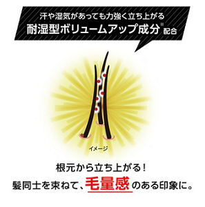 汗や湿気があっても力強く立ち上がる耐湿型ボリュームアップ成分*配合　根元から立ち上がる！髪同士を束ねて、毛量感のある印象に