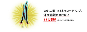 さらに、髪１本１本をコーティング。汗や湿気に負けないハリ感!（スタイリング効果による）