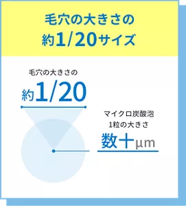毛穴の大きさの約1/20サイズ
