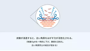 2.炭酸が浸透すると、古い角質をはがす力が活性化される。 （角層のpHを一時的に下げ、酵素を活性化。古い角質同士の結合が弱まる）