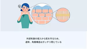 1.外部刺激の侵入から肌を守るため、通常、角層構造はガッチリ閉じている