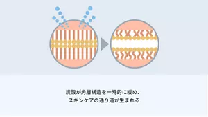 2.炭酸が角層構造を一時的に緩め、スキンケアの通り道が生まれる。
