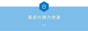 06_真皮の弾力改善
